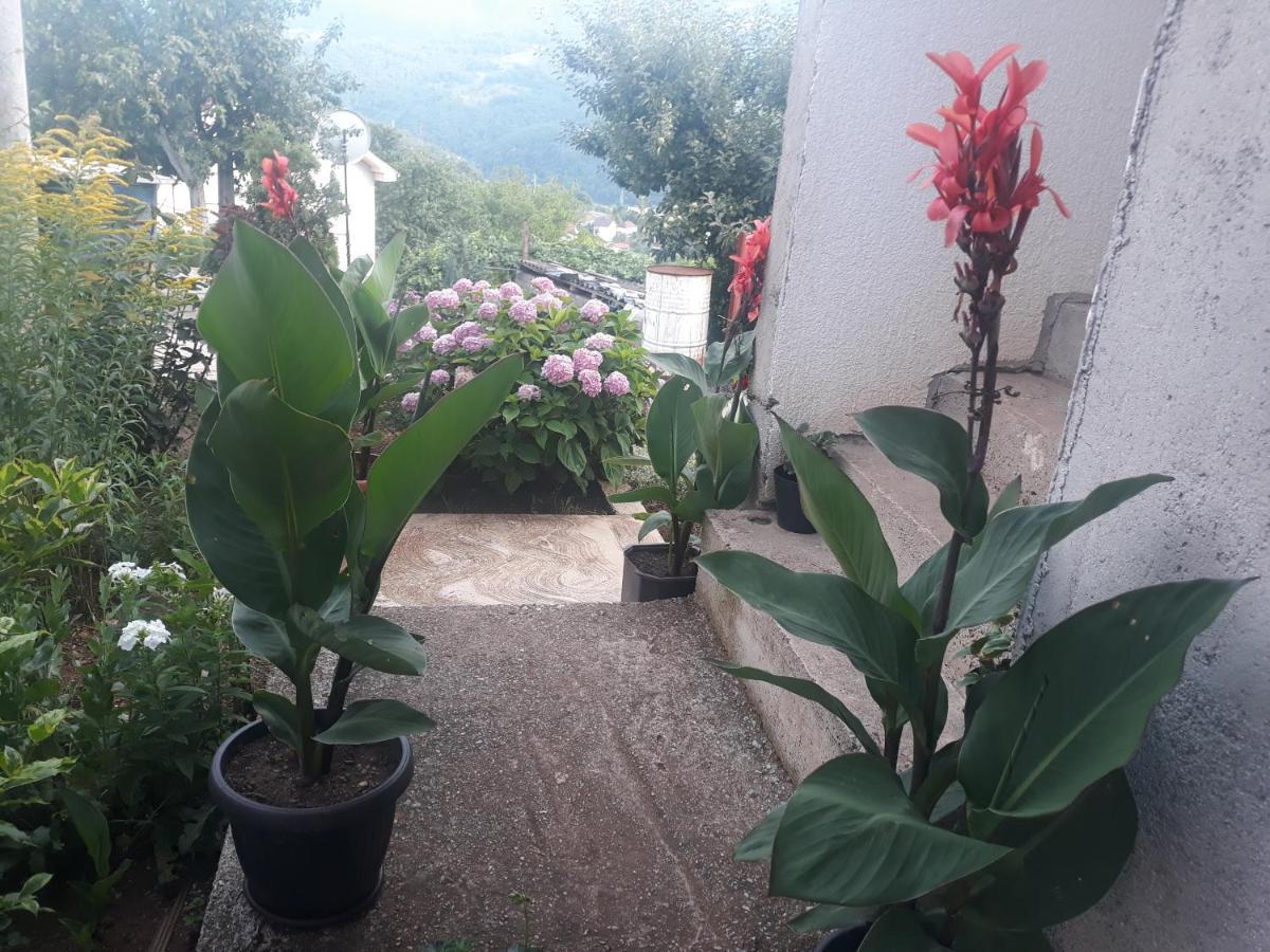 Smestaj Rakovic Pribojska Banja Bagian luar foto