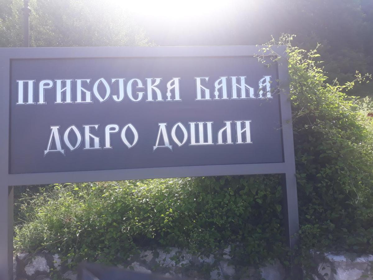 Smestaj Rakovic Pribojska Banja Bagian luar foto