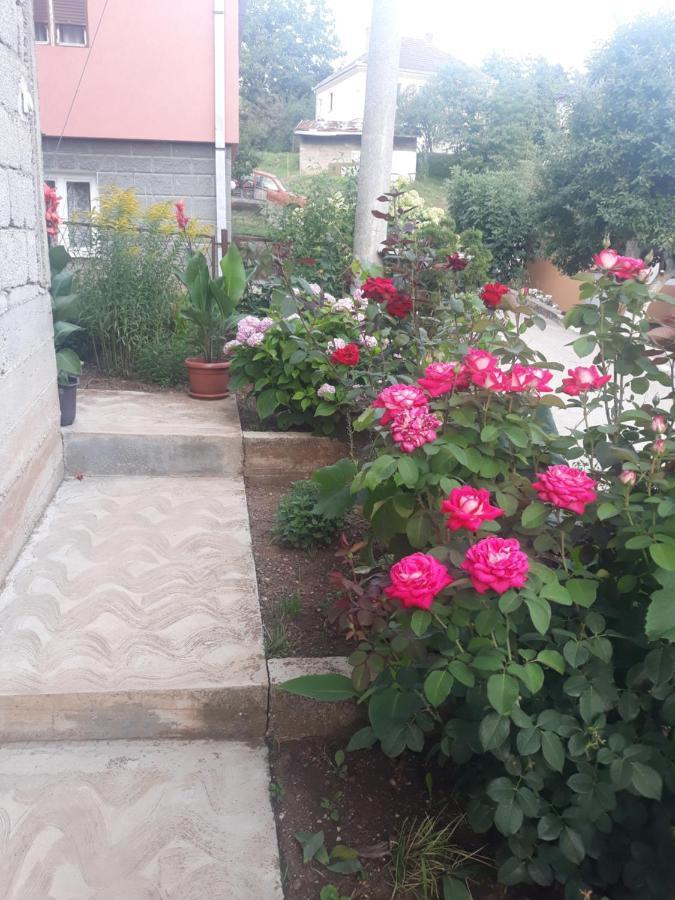 Smestaj Rakovic Pribojska Banja Bagian luar foto